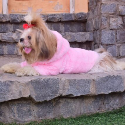 Dogs Hoodies